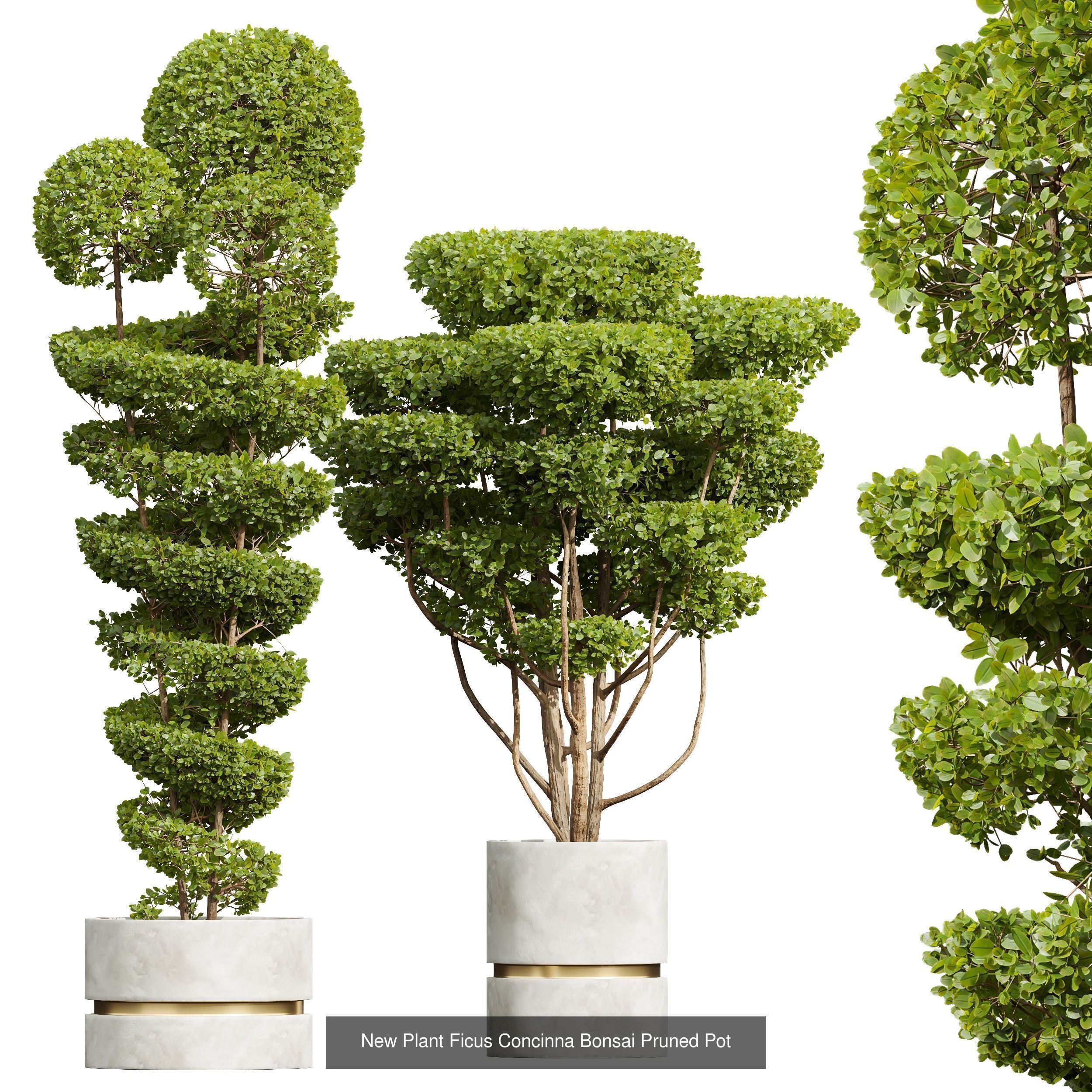 29 Different SETS Of Pot plants Flowers SET VOL06 3D Model Collection_47