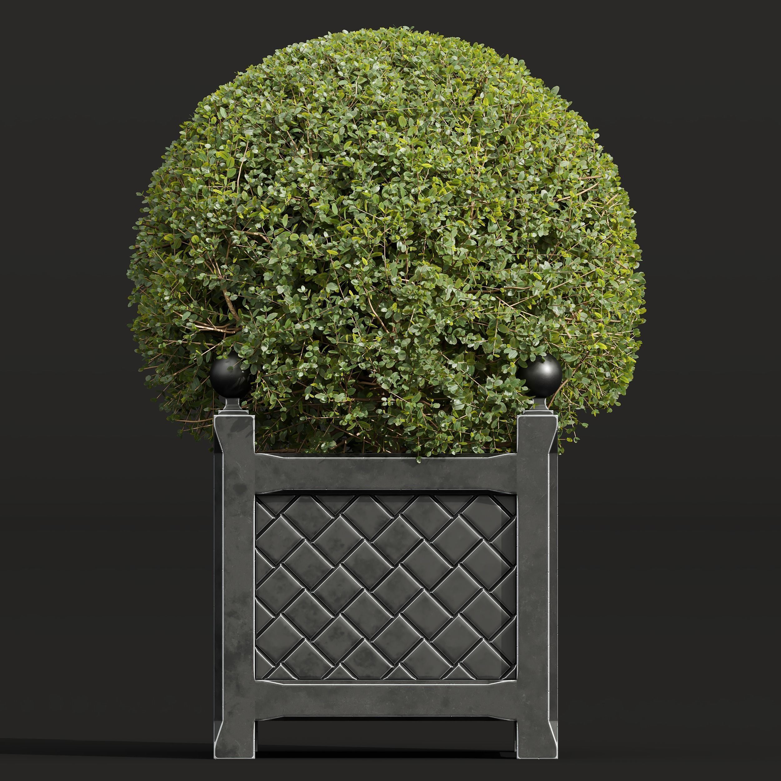 29 Different SETS Of Pot plants Flowers SET VOL06 3D Model Collection_68