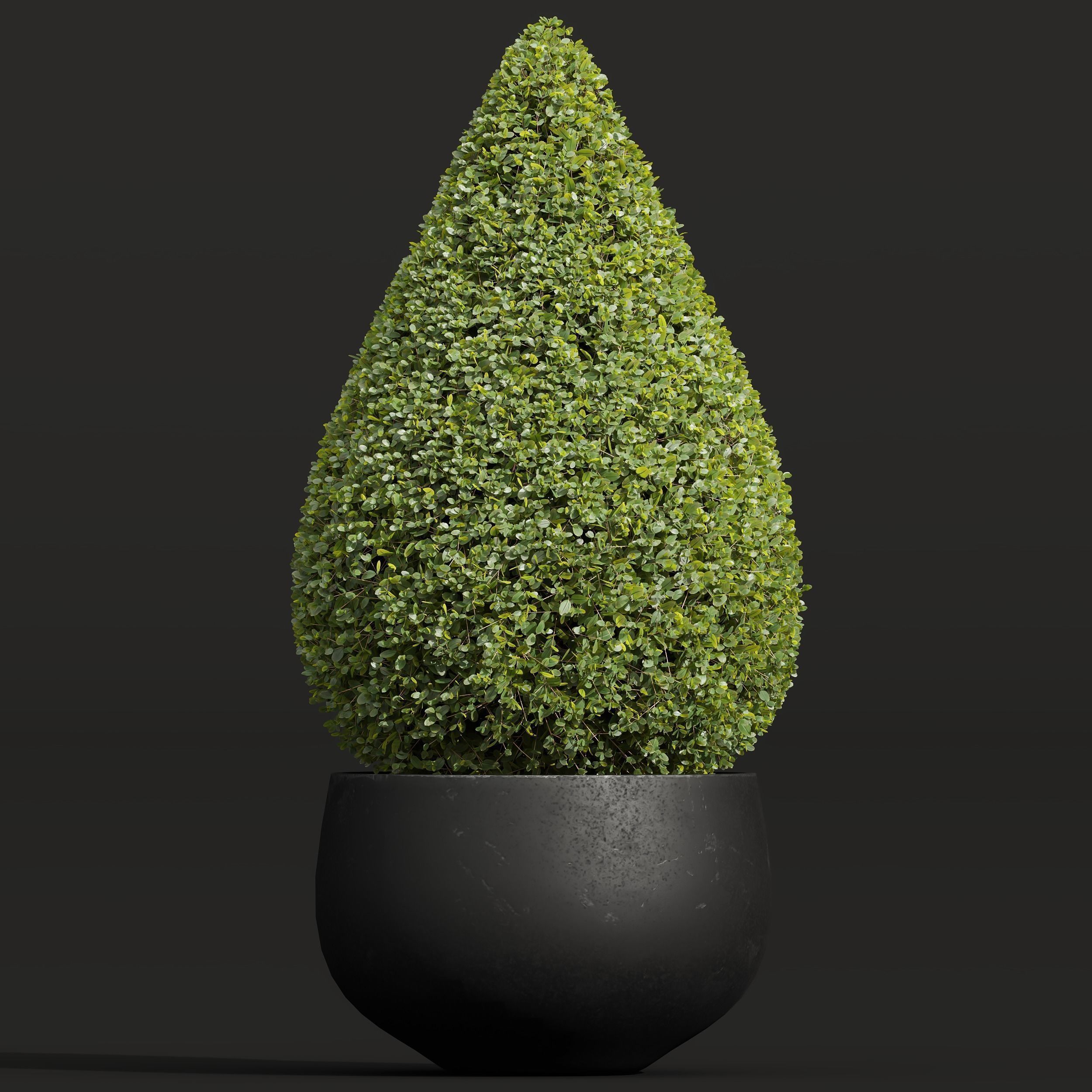 29 Different SETS Of Pot plants Flowers SET VOL06 3D Model Collection_63