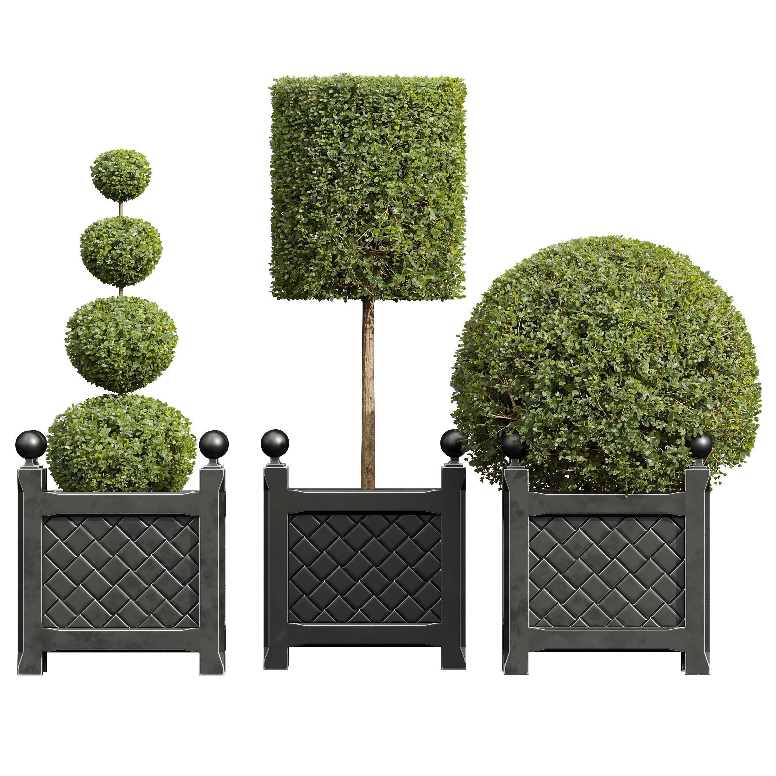 29 Different SETS Of Pot plants Flowers SET VOL06 3D Model Collection_44