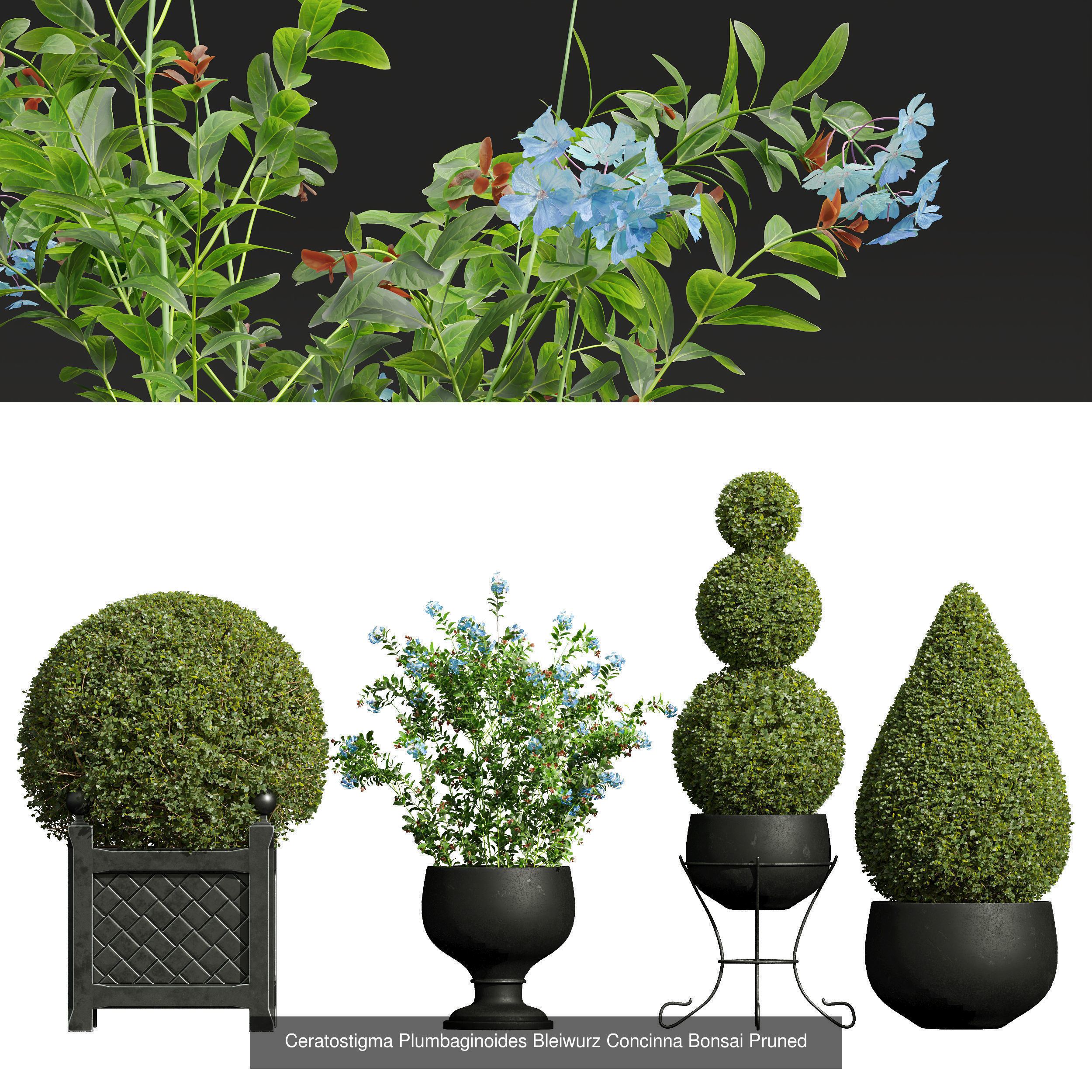 29 Different SETS Of Pot plants Flowers SET VOL06 3D Model Collection_53