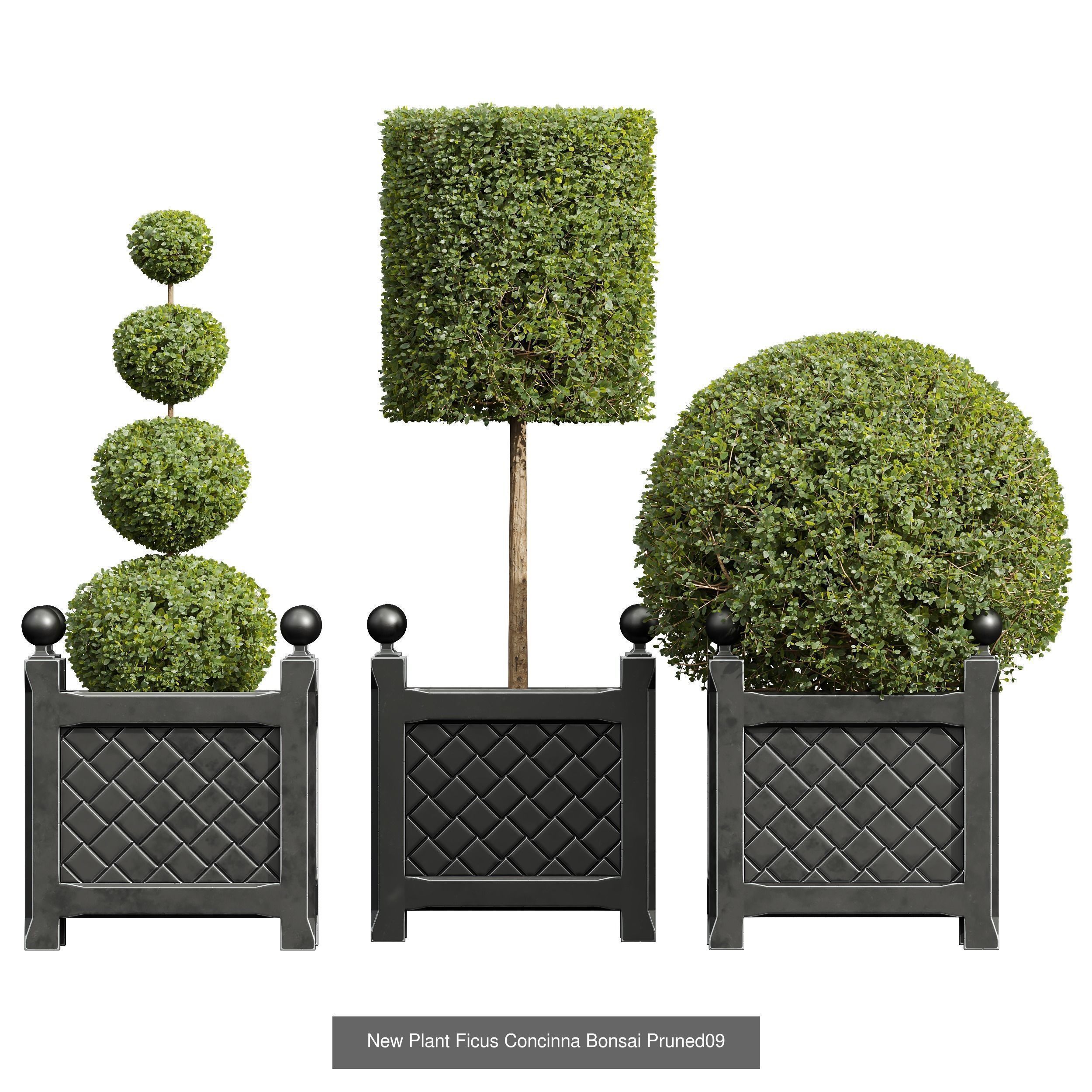 29 Different SETS Of Pot plants Flowers SET VOL06 3D Model Collection_51