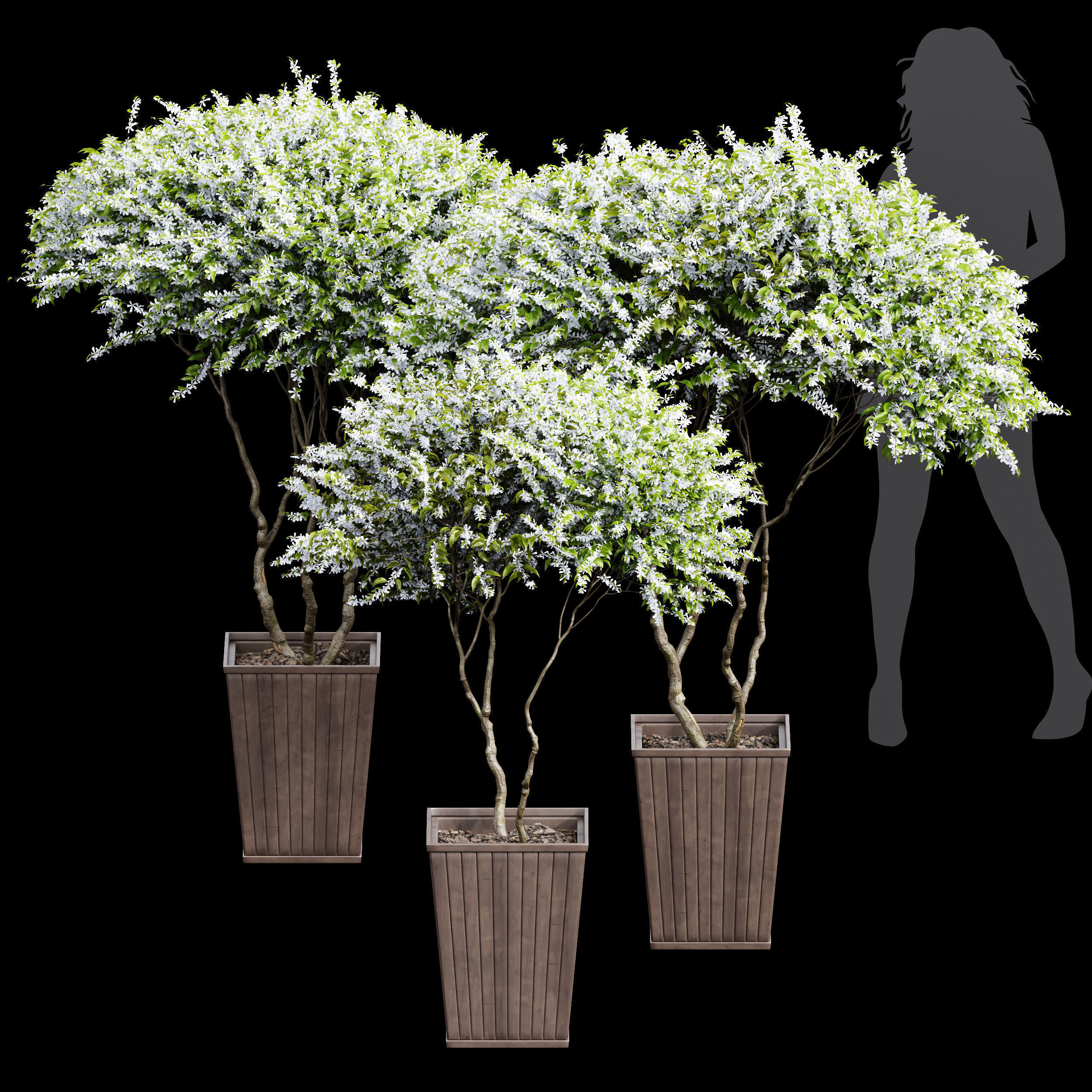 29 Different SETS Of Pot plants Flowers SET VOL06 3D Model Collection_56