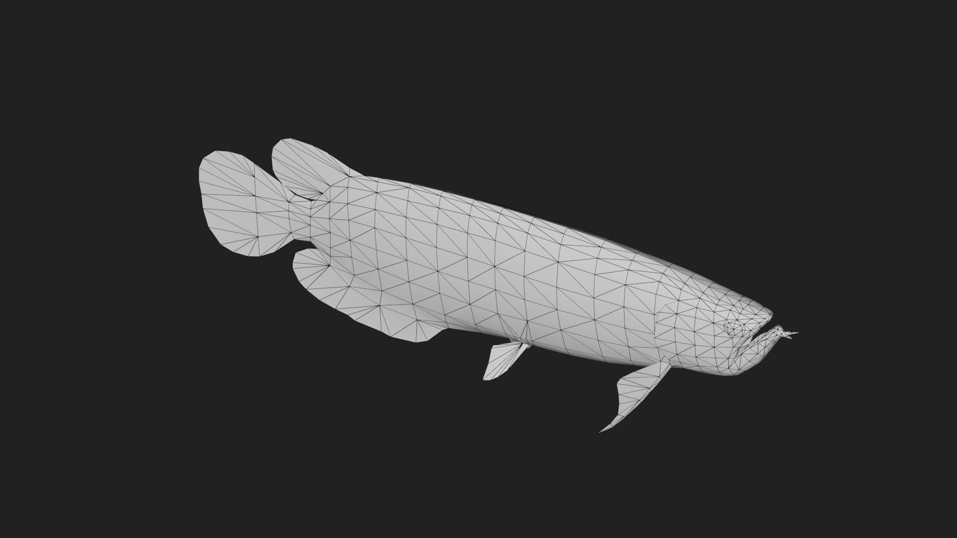 Arowana Low-poly 3D model_3
