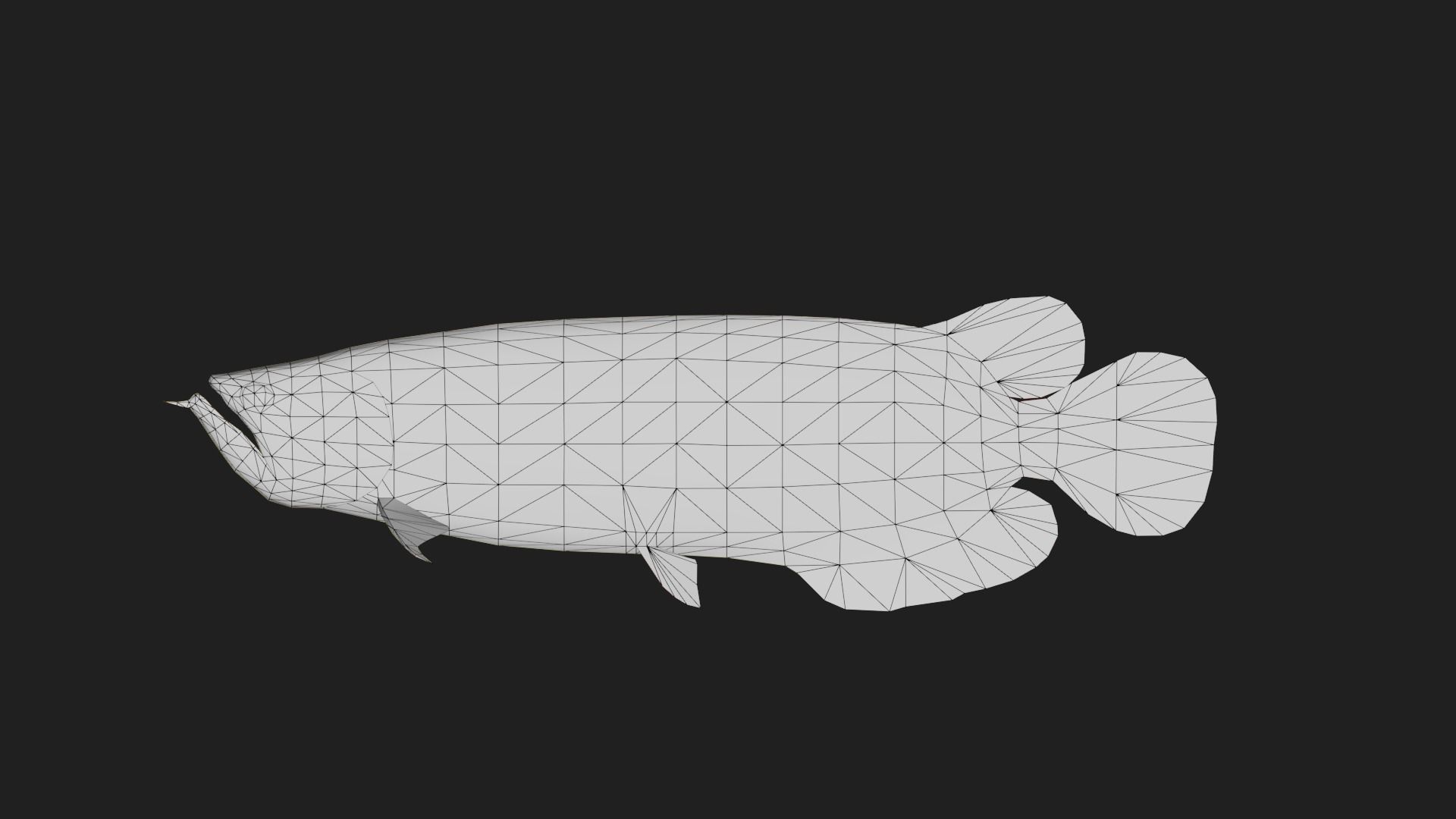 Arowana Low-poly 3D model_1