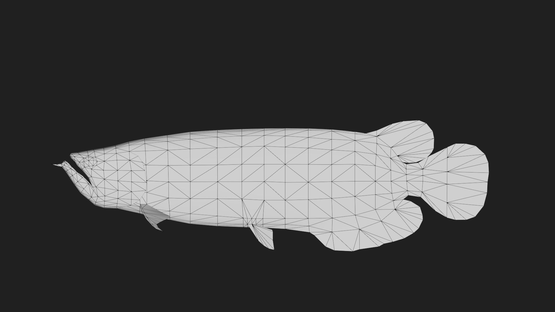 Arowana Low-poly 3D model_1