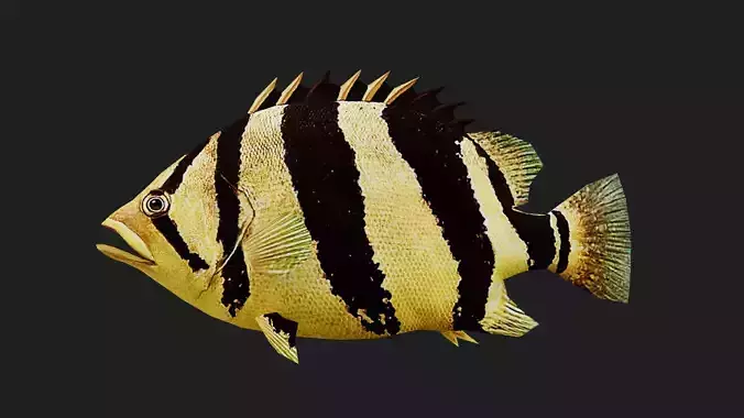 Tigerfish