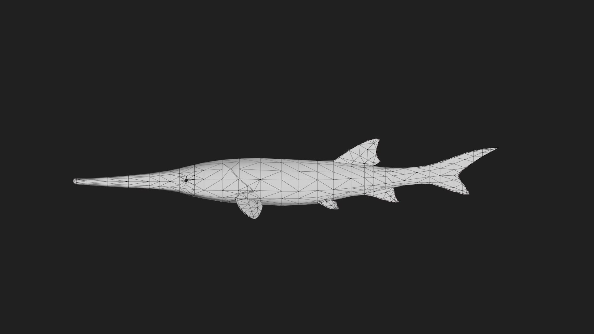 Sturgeon Low-poly 3D model_1