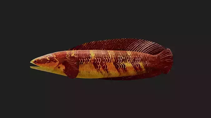 Snakehead