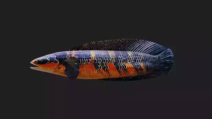 Snakehead