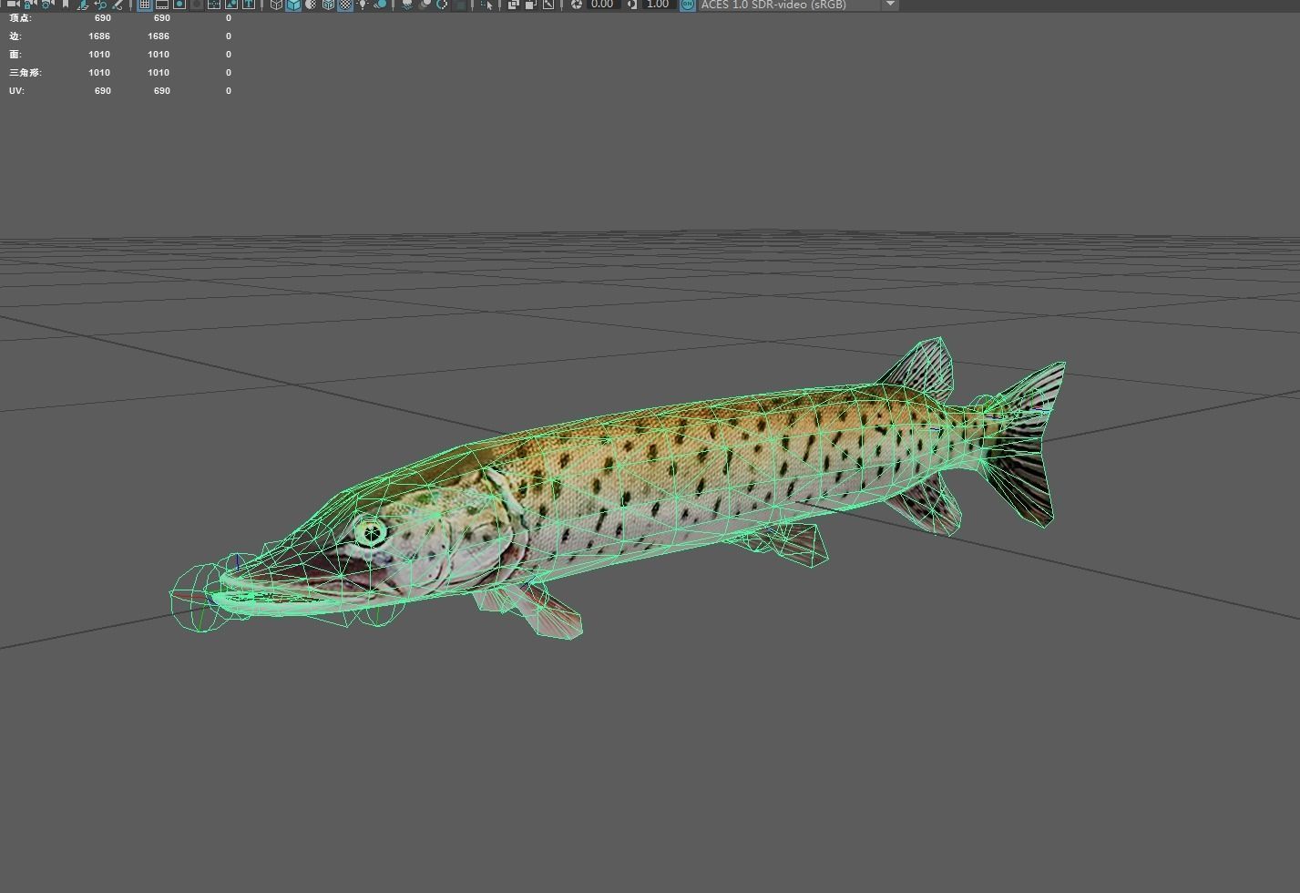 Amurpike Low-poly 3D model_2