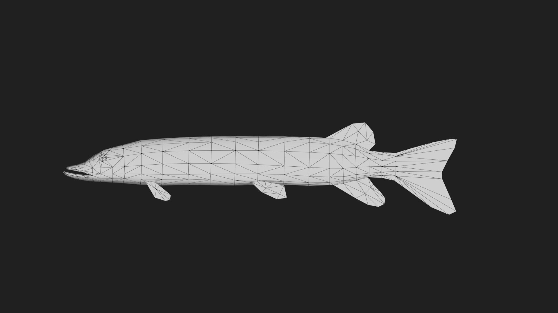 Amurpike Low-poly 3D model_1