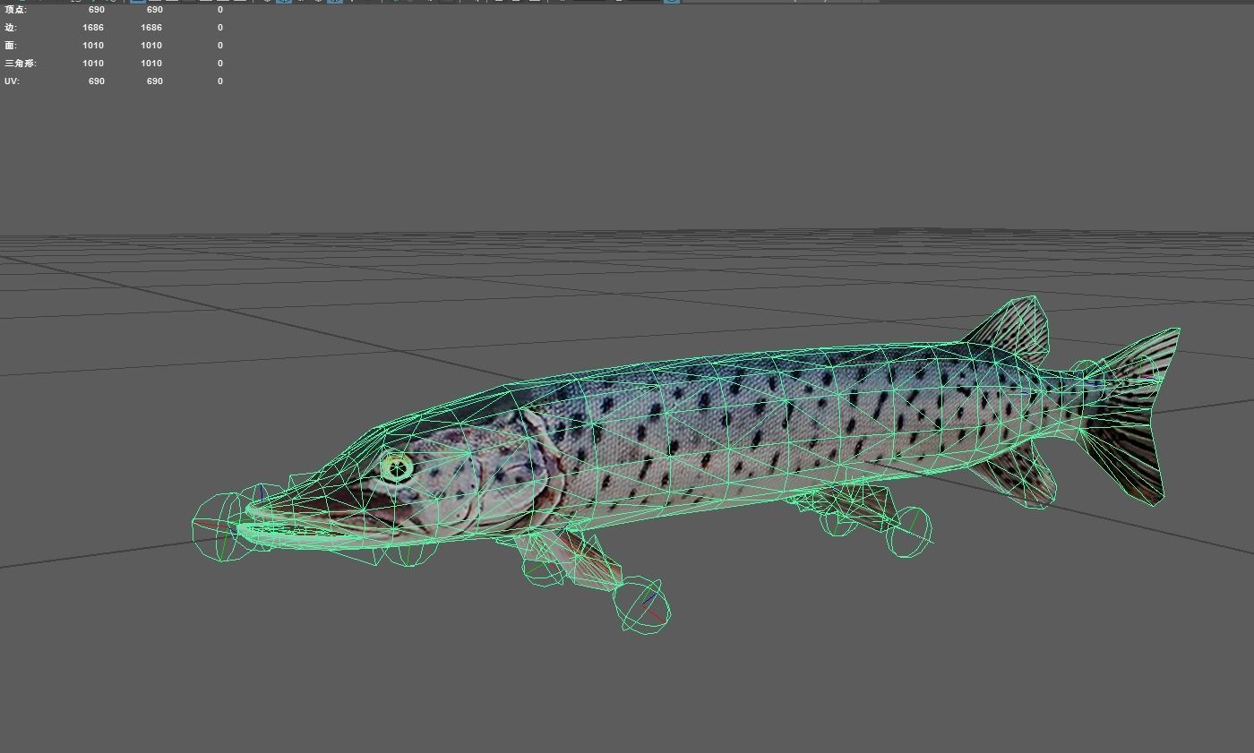 Amurpike Low-poly 3D model_2