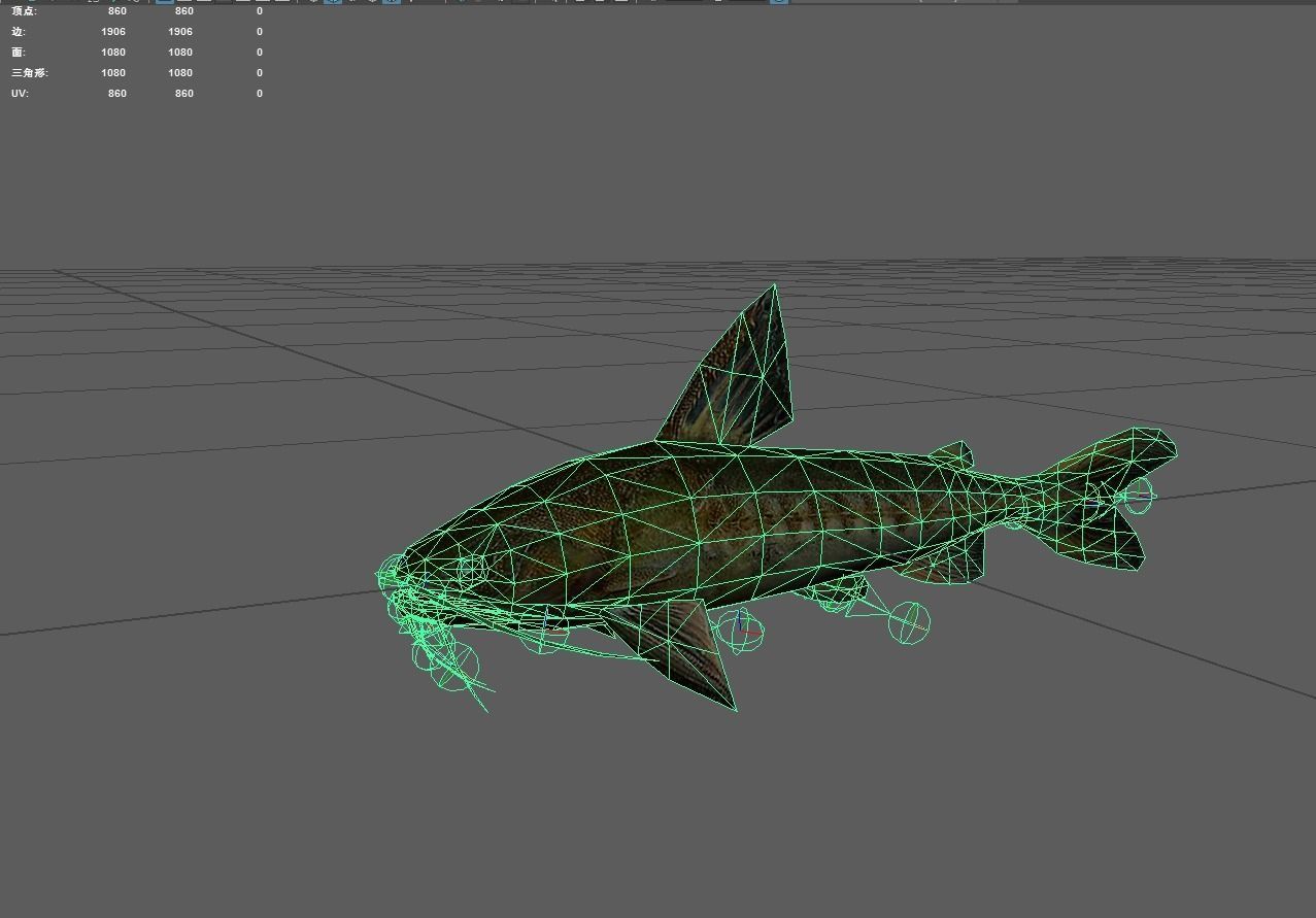 Catfish Low-poly 3D model_2