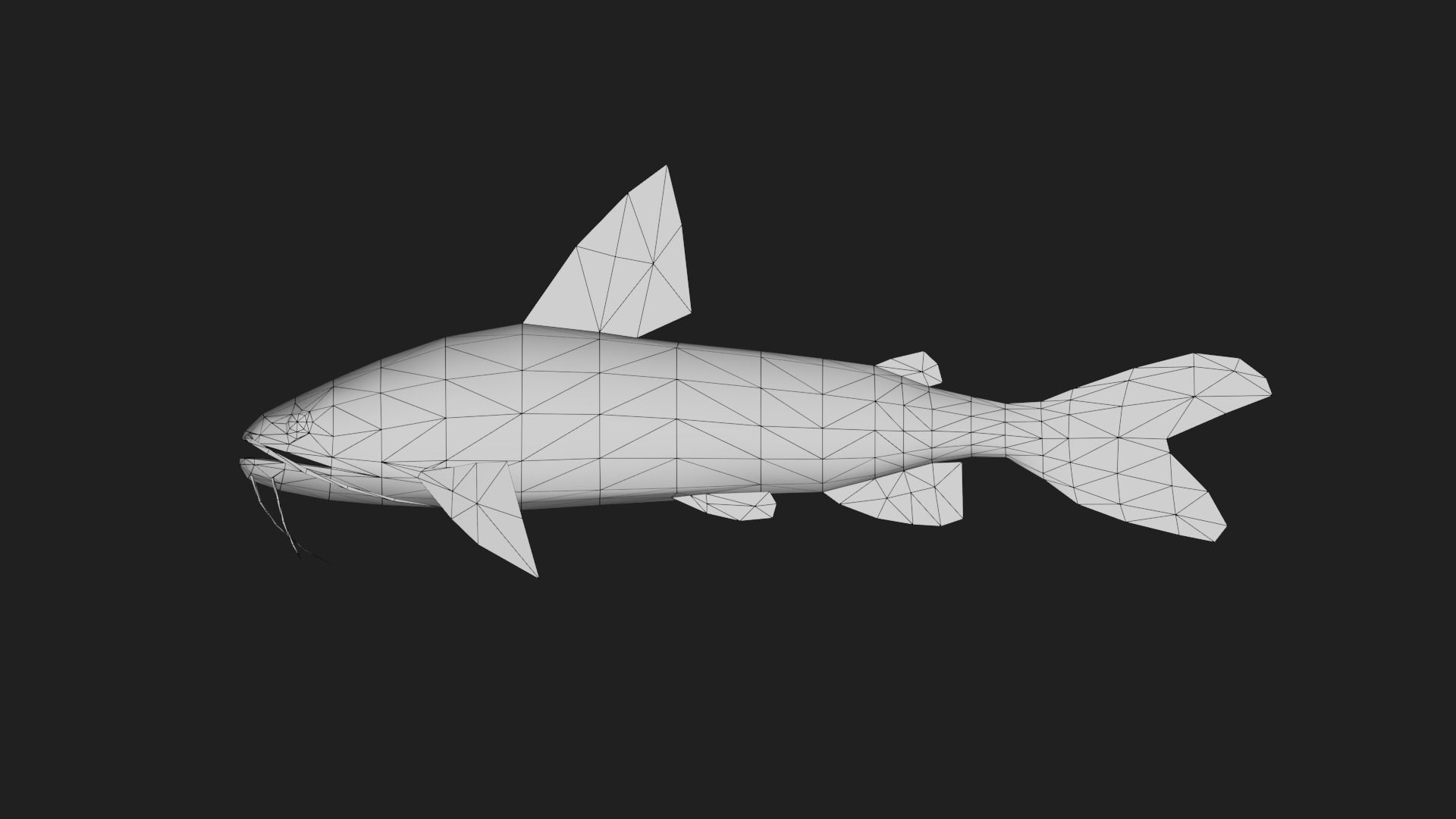 Catfish Low-poly 3D model_1