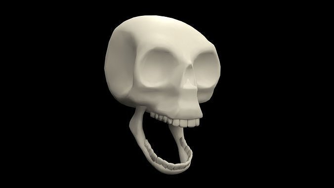 Skull 3D model