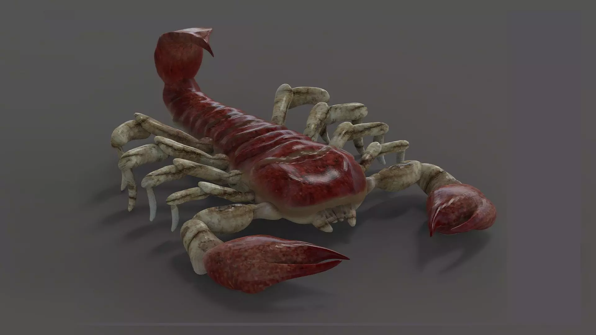 Scorpion Monster Low-poly 3D model_0
