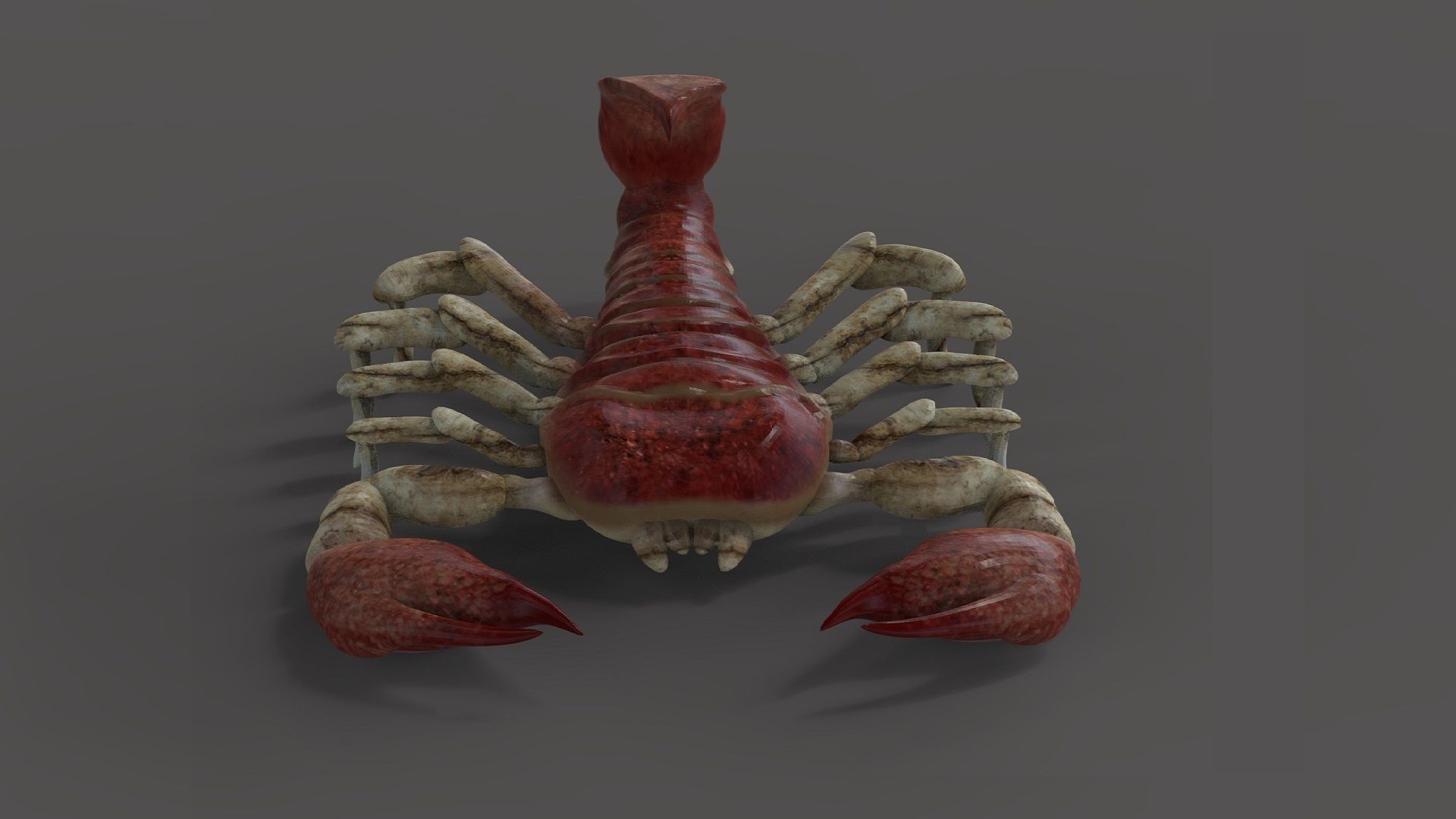 Scorpion Monster Low-poly 3D model_1