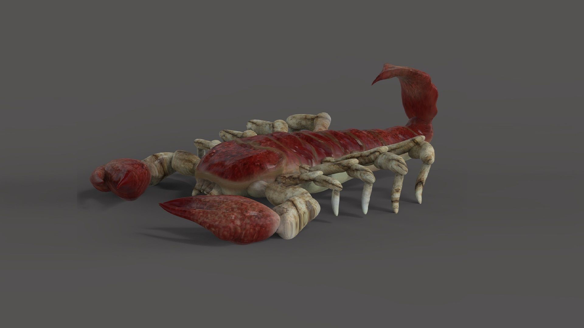 Scorpion Monster Low-poly 3D model_3