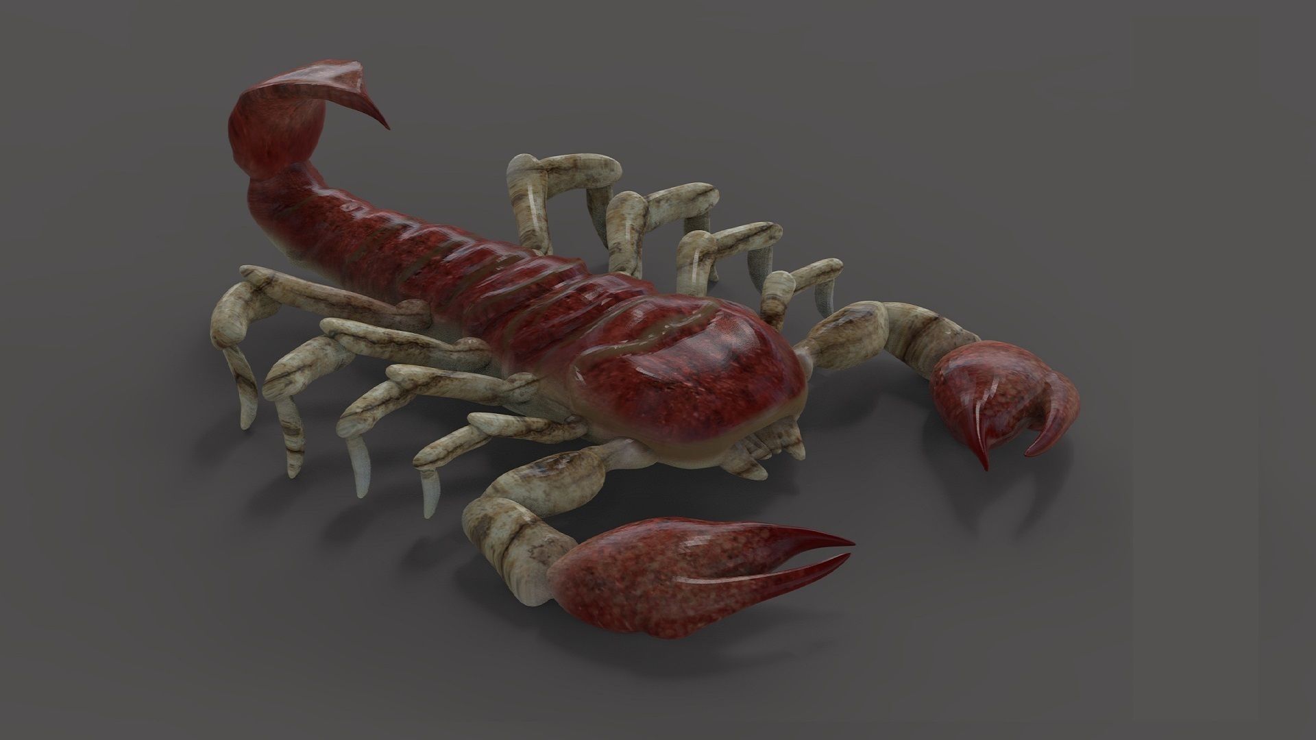 Scorpion Monster Low-poly 3D model_2