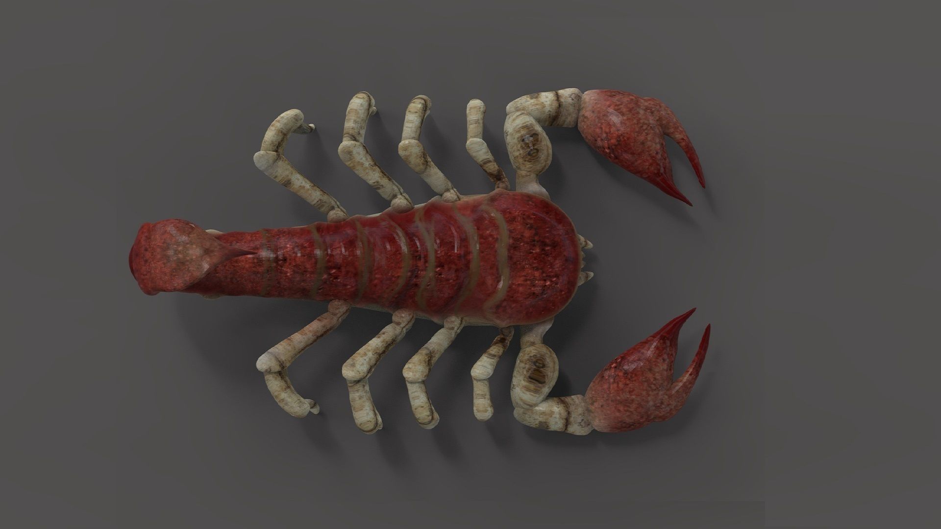 Scorpion Monster Low-poly 3D model_4