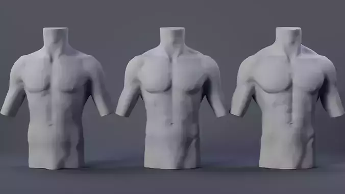 Male Torso