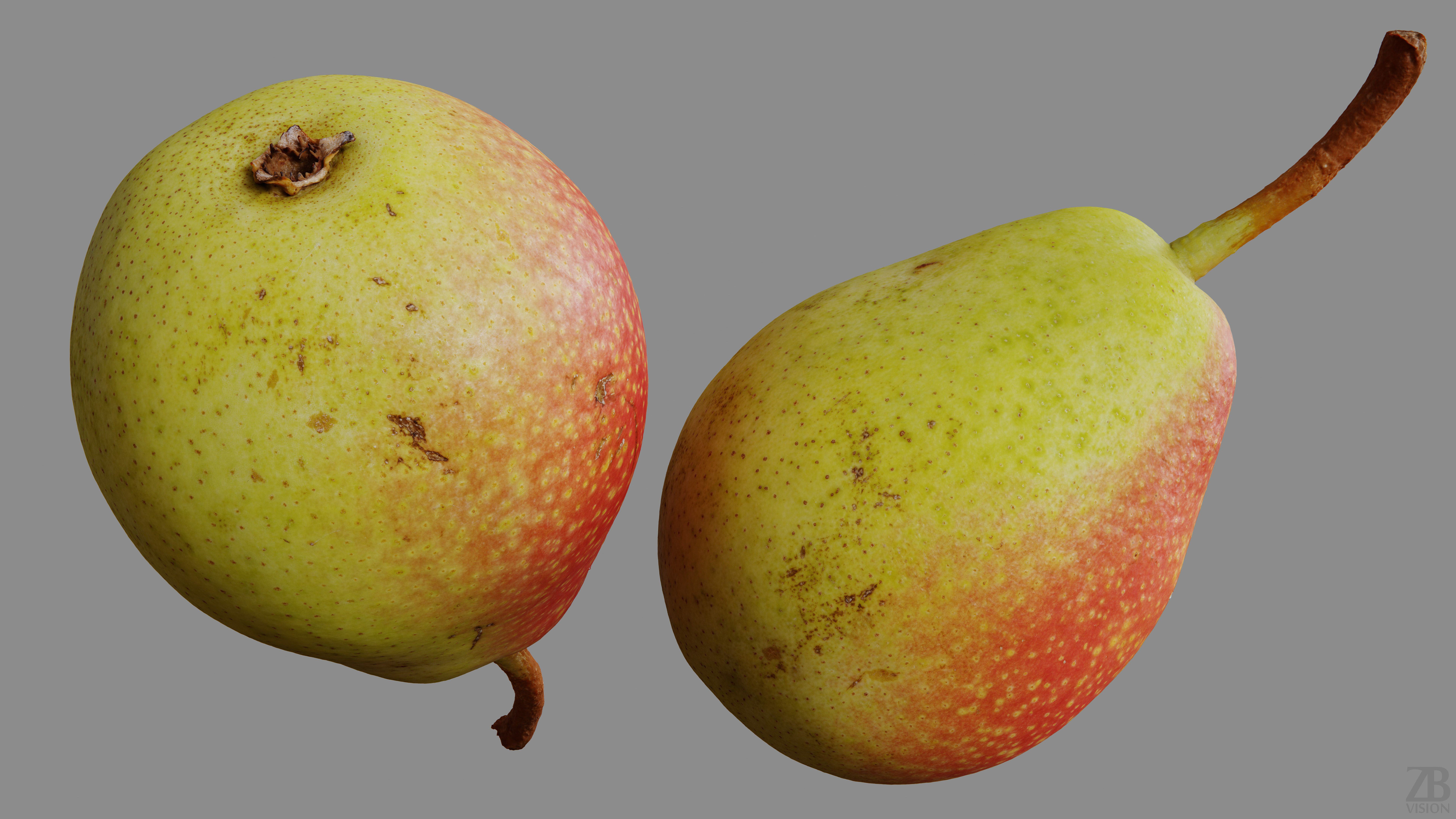 Pear  3D model_9
