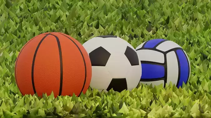 Ball Package - Basketball Football Volleyball