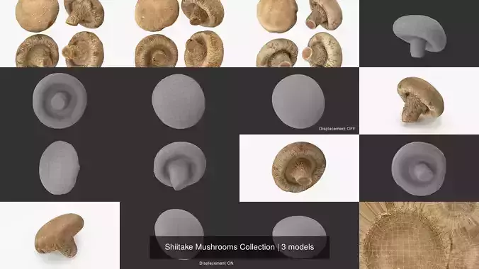 Shiitake Mushrooms Collection