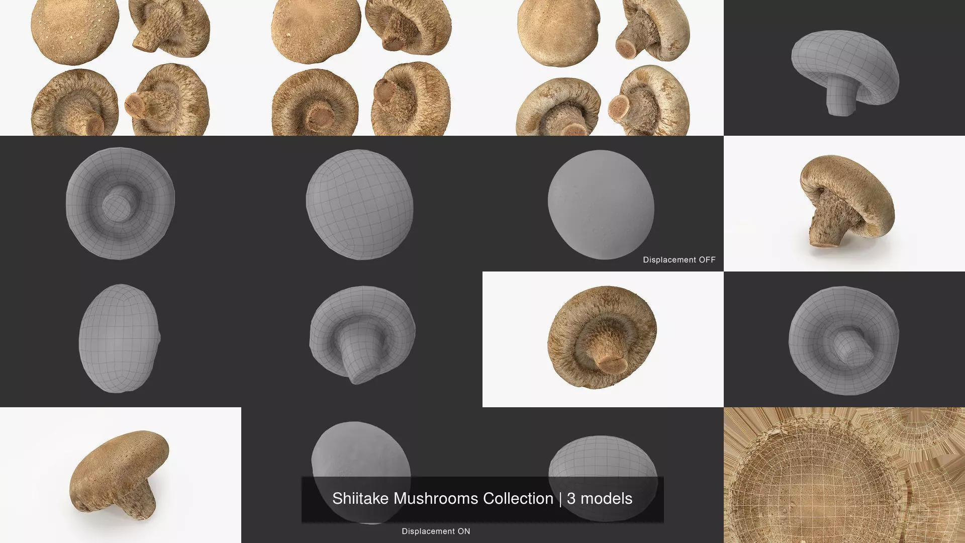 Shiitake Mushrooms Collection _1