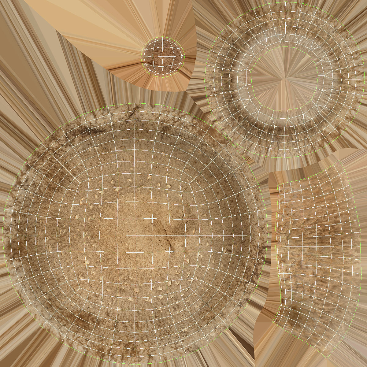 Shiitake Mushrooms Collection _12