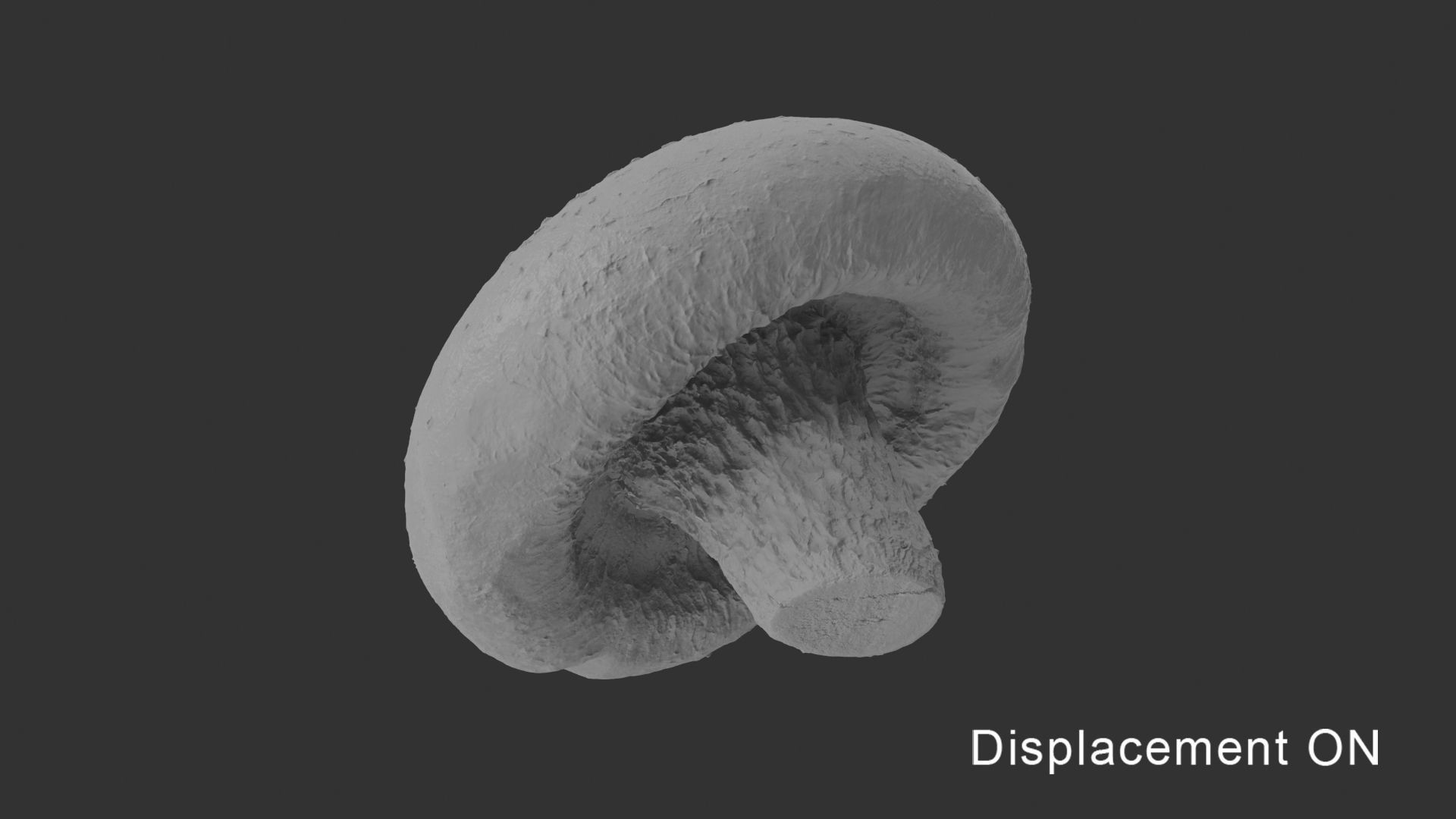 Shiitake Mushrooms Collection _11