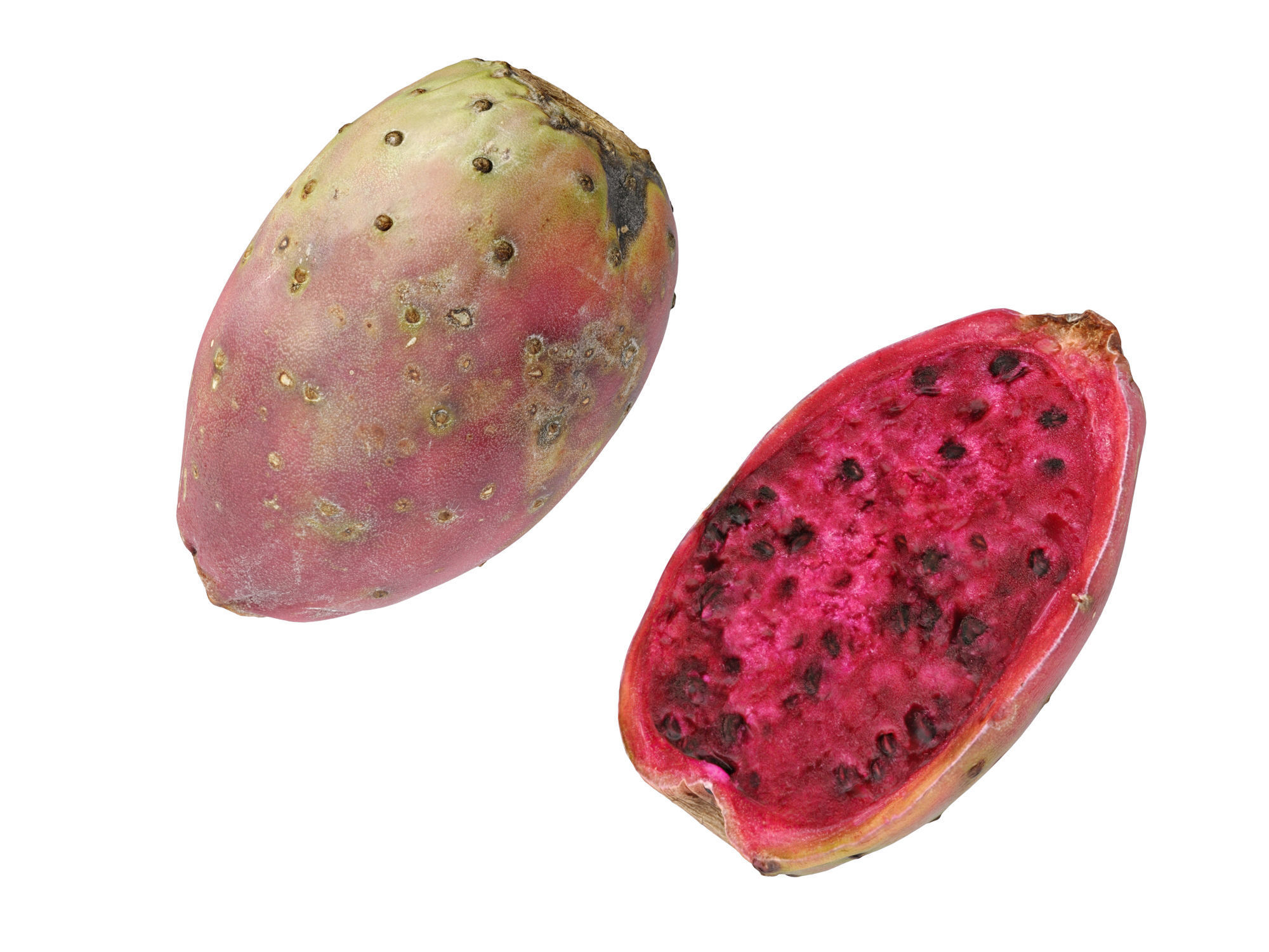 Prickly Pear - Cactus Fruit 3D model_9