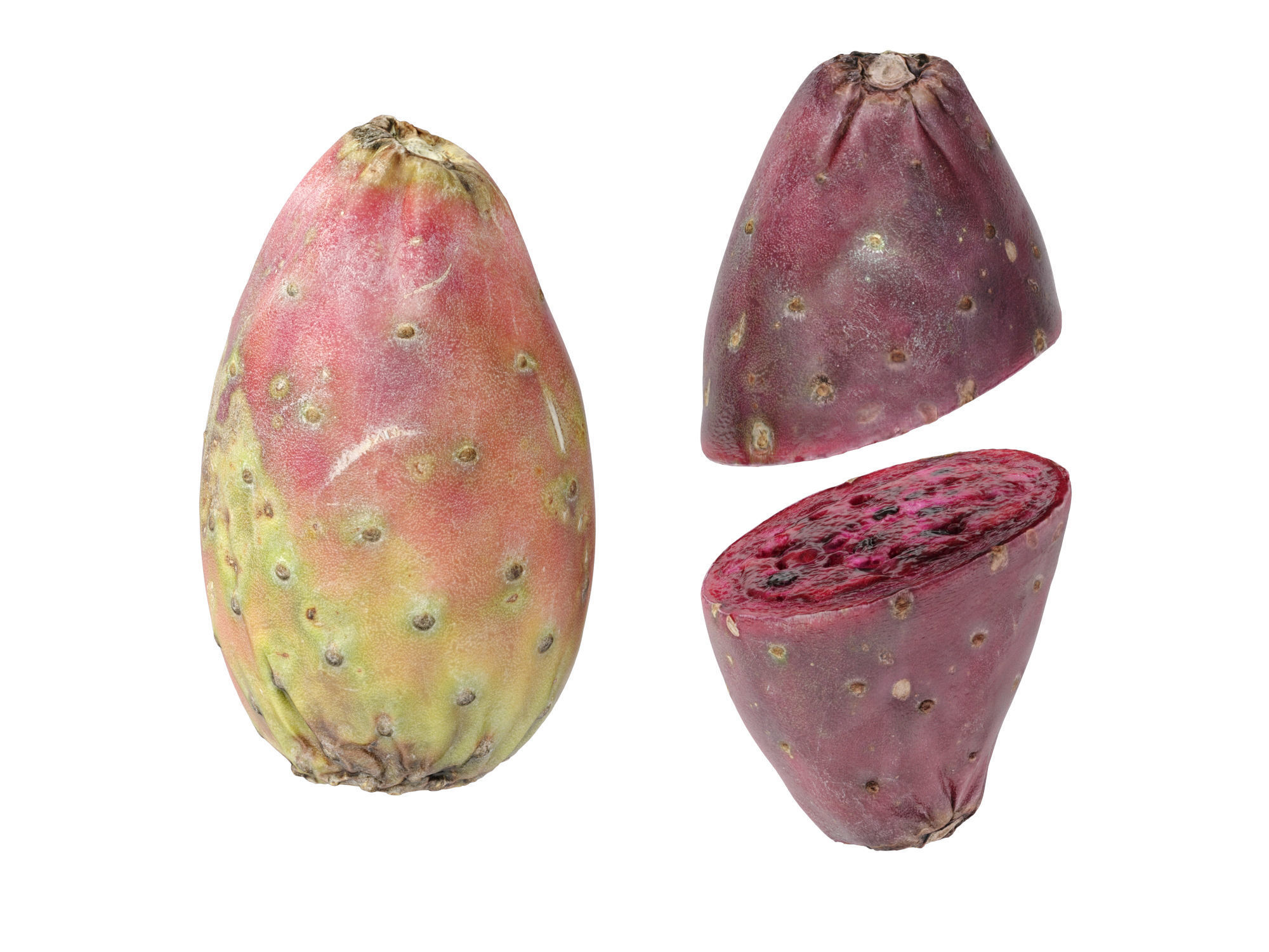 Prickly Pear - Cactus Fruit 3D model_11
