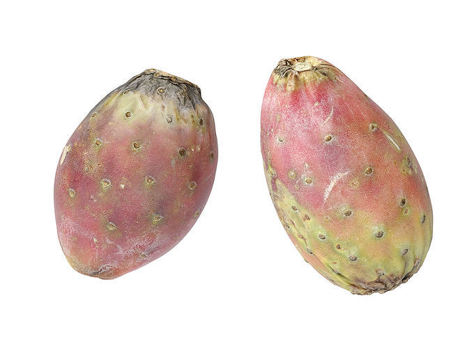 Prickly Pear - Cactus Fruit 3D model 6