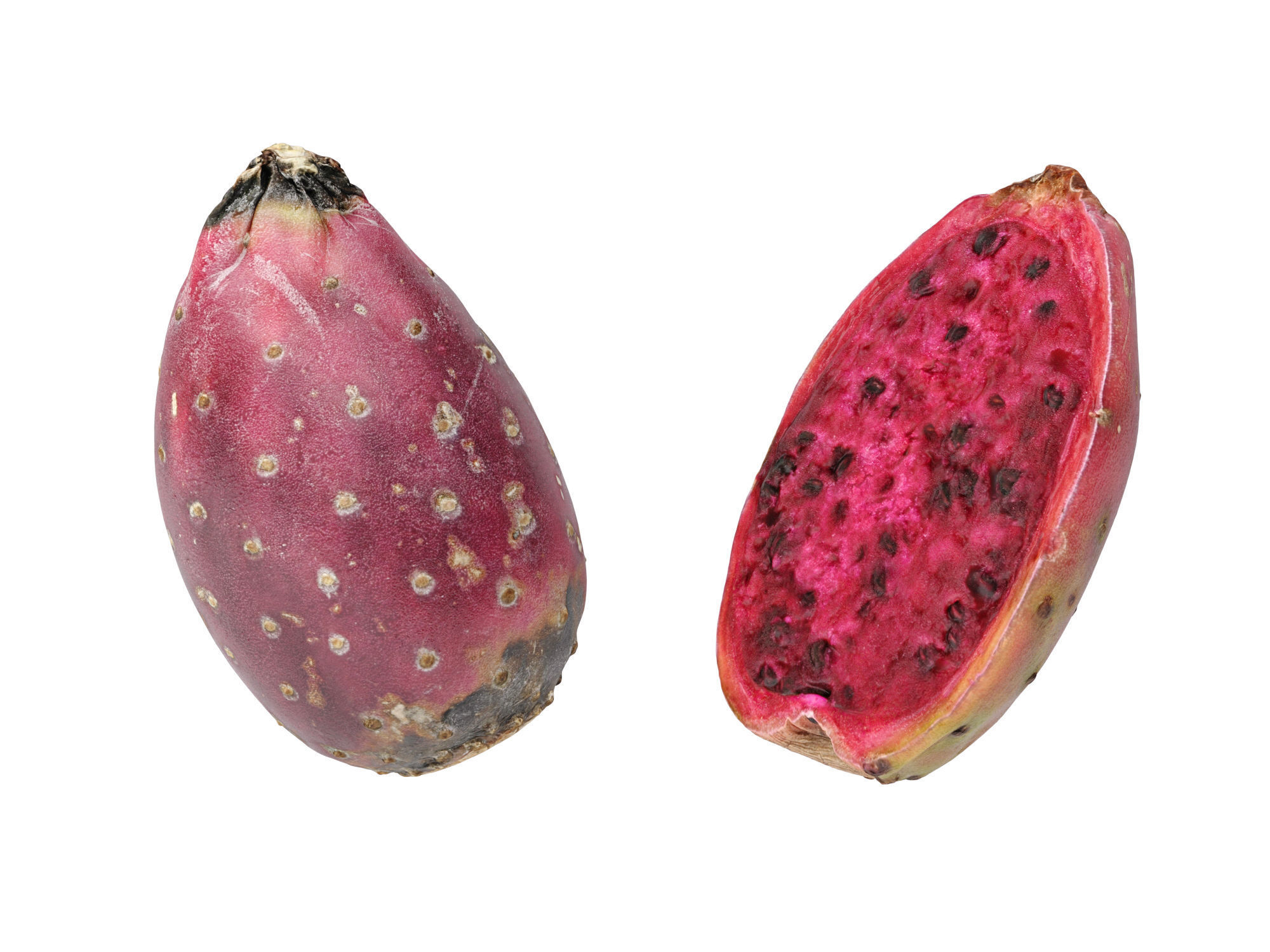 Prickly Pear - Cactus Fruit 3D model_10