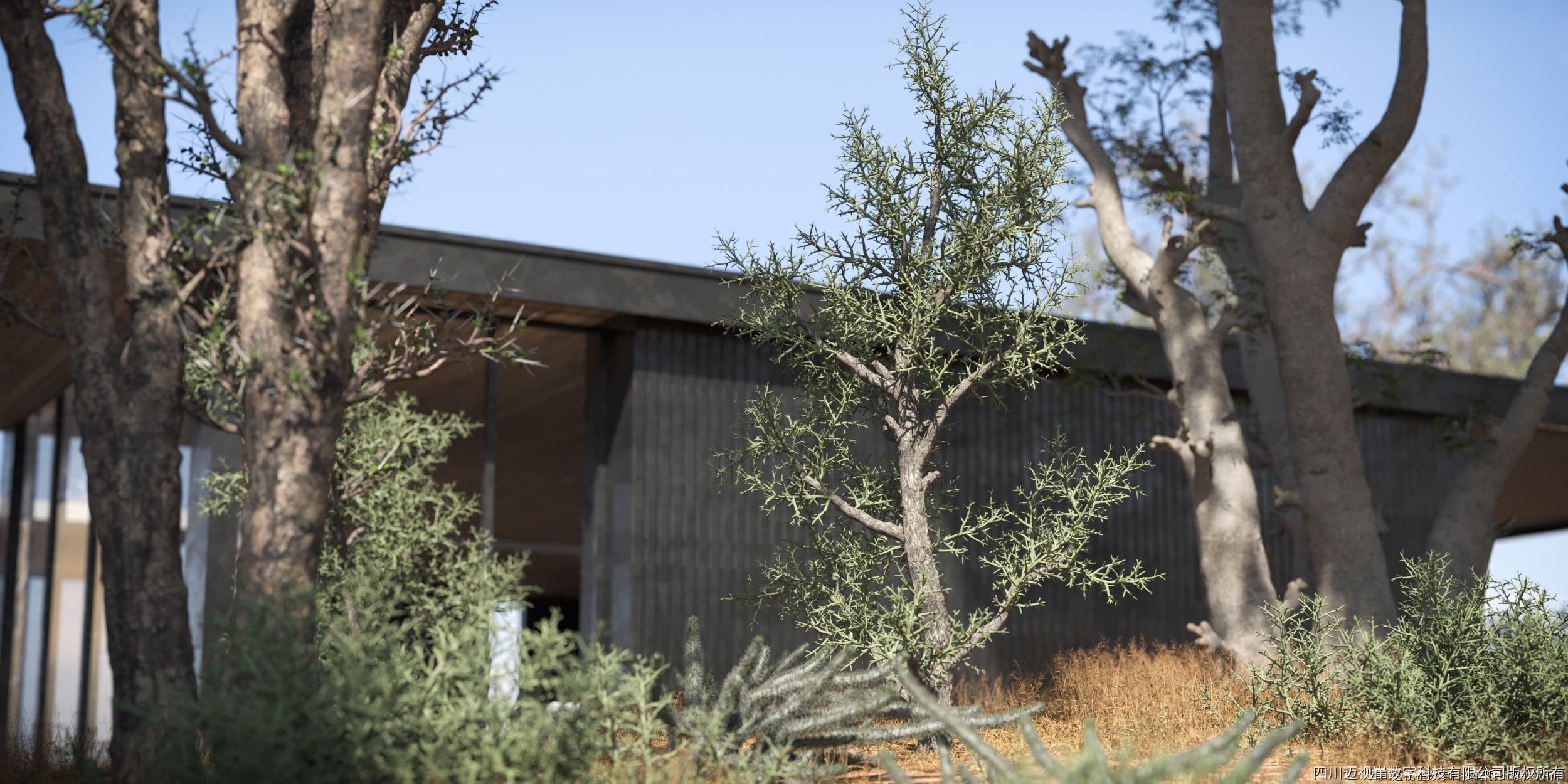 Maxtree Plant Models Vol 130 - Mesh 3D model_3