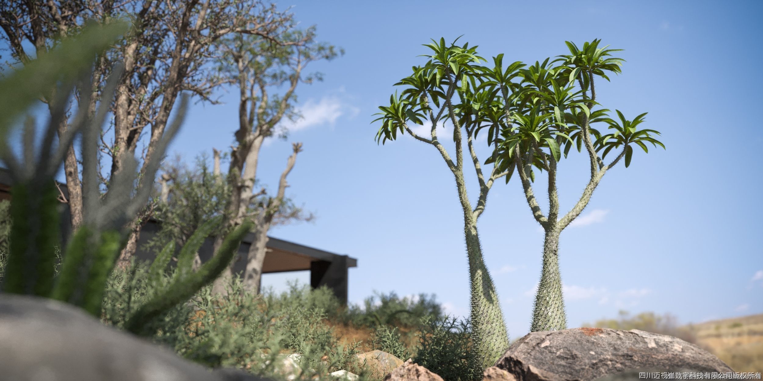 Maxtree Plant Models Vol 130 - Mesh 3D model_2