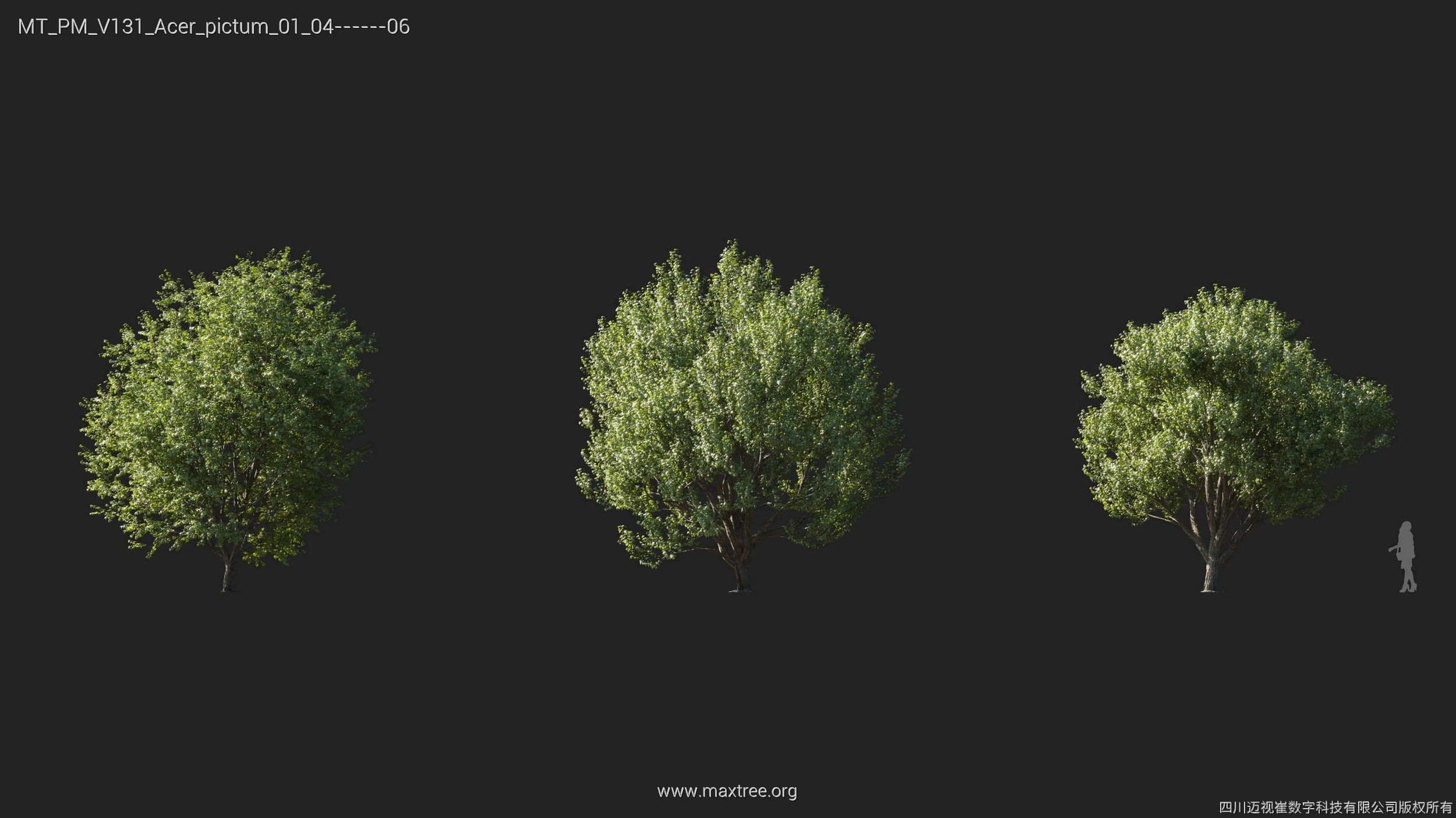 Maxtree Plant Models Vol 131 - Mesh 3D model_10