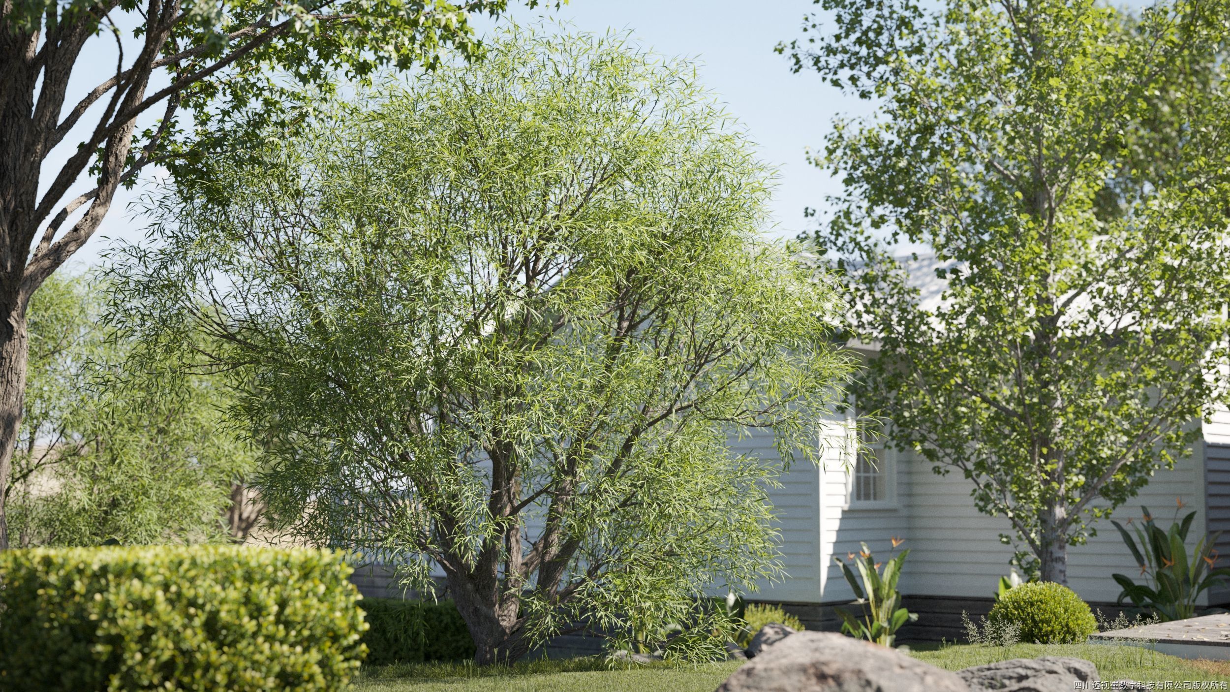 Maxtree Plant Models Vol 131 - Mesh 3D model_1