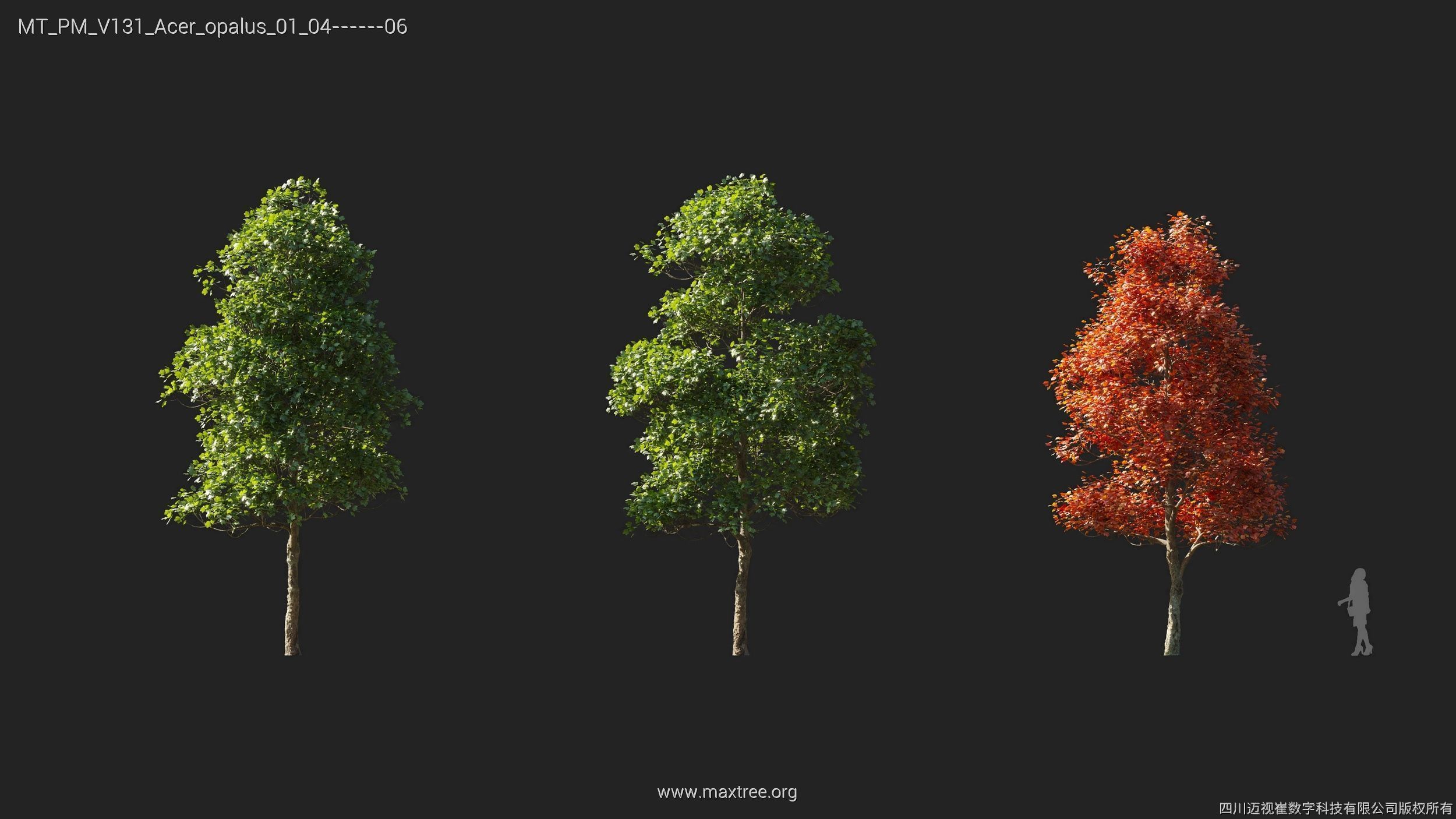 Maxtree Plant Models Vol 131 - Mesh 3D model_8