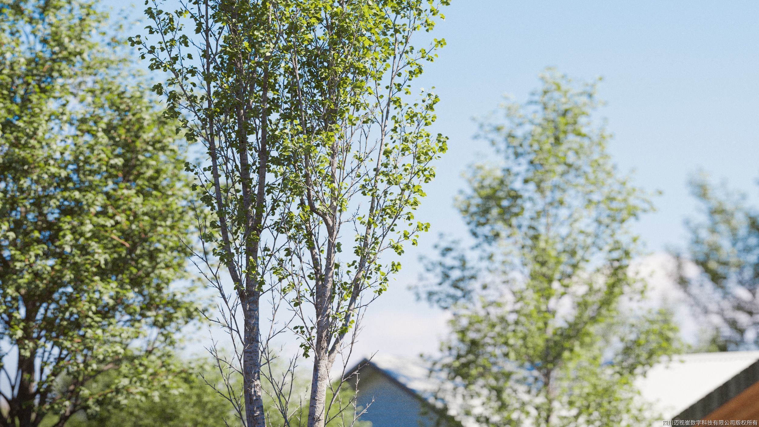 Maxtree Plant Models Vol 131 - Mesh 3D model_3