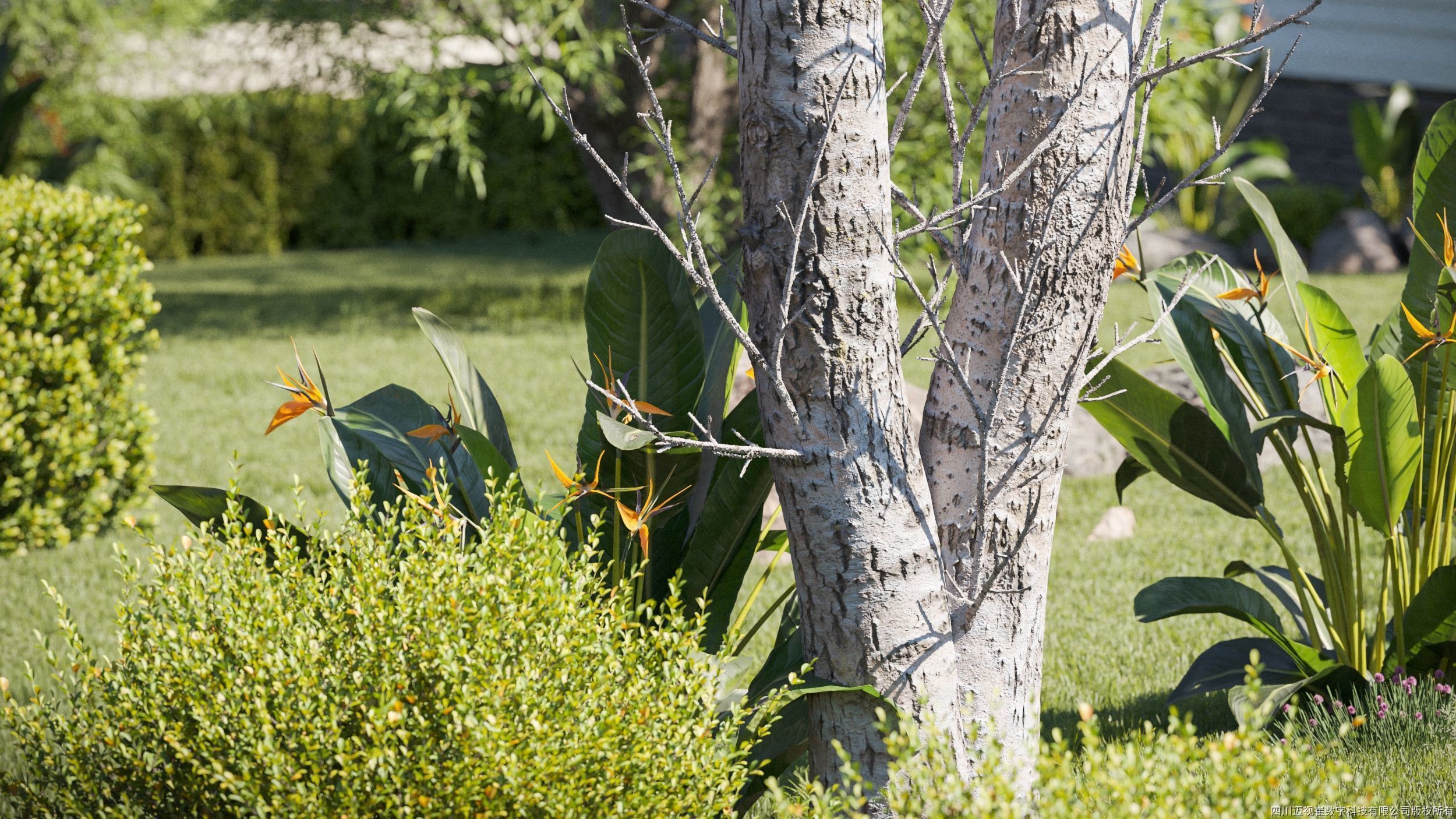 Maxtree Plant Models Vol 131 - Mesh 3D model_2