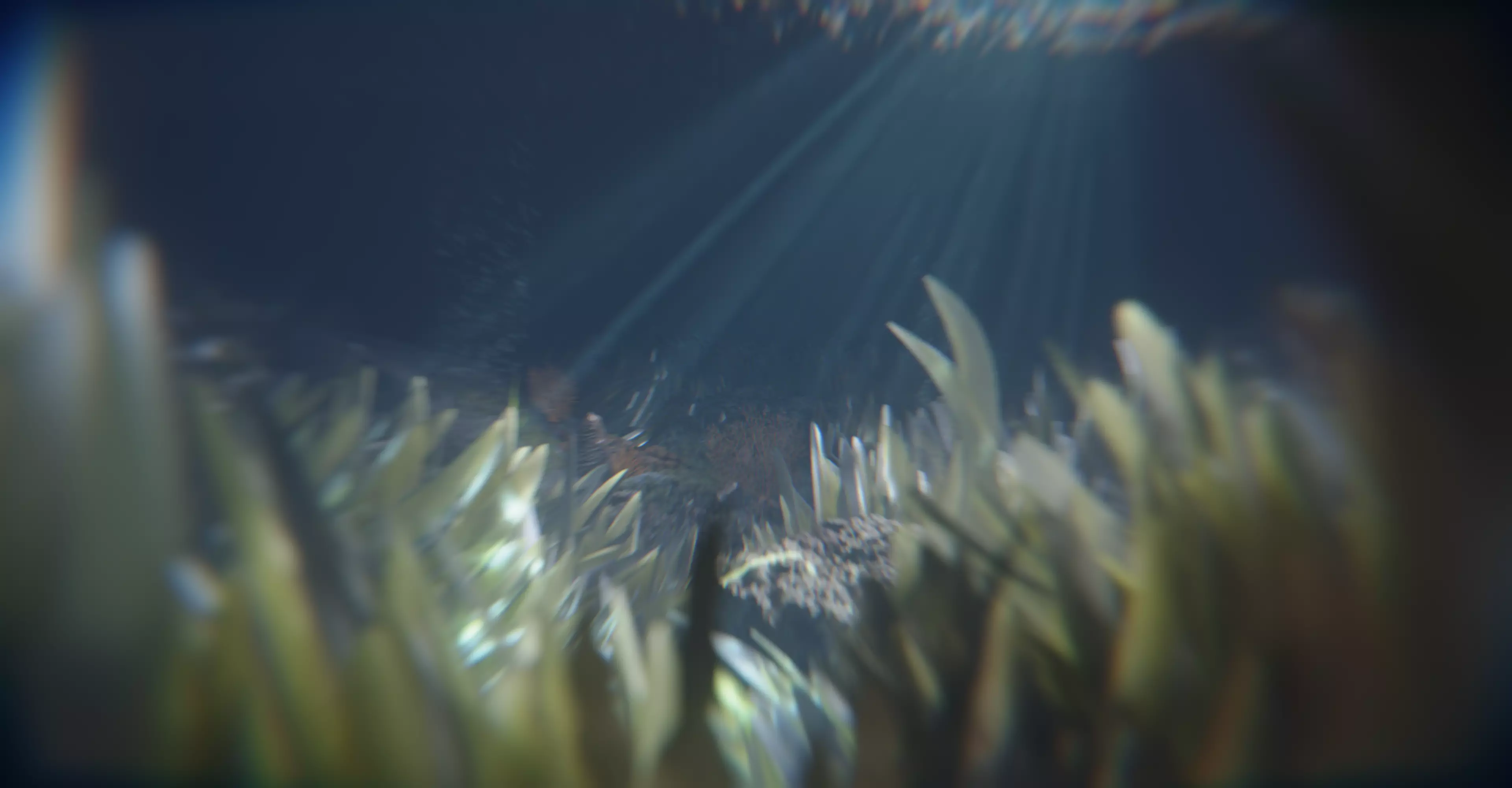 Coral seaweed 3D model_0