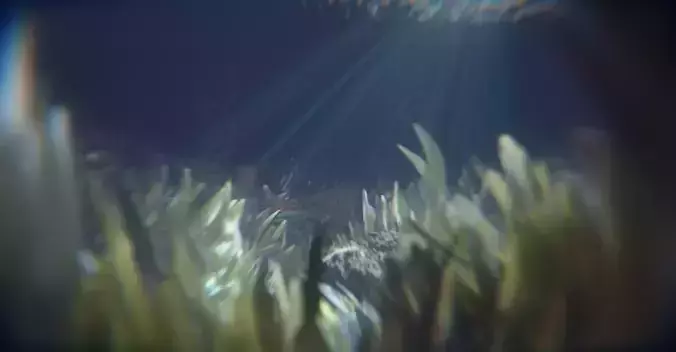Coral seaweed 3D model