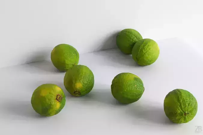 Lime  3D model
