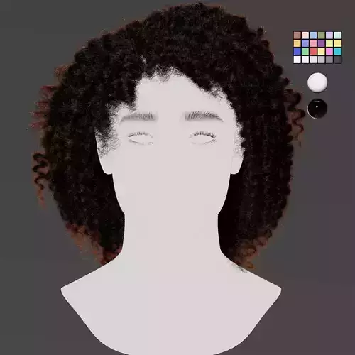 XGen Curly Hair PROJECT 3D model