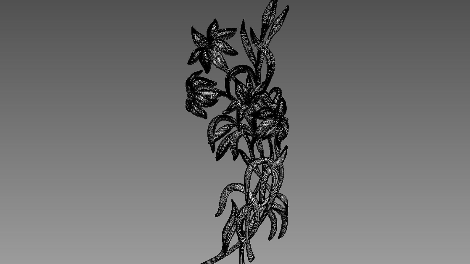 Lily Flowers Bas-Relief 3D model_7