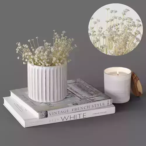 Decor Gypsophila Set 25