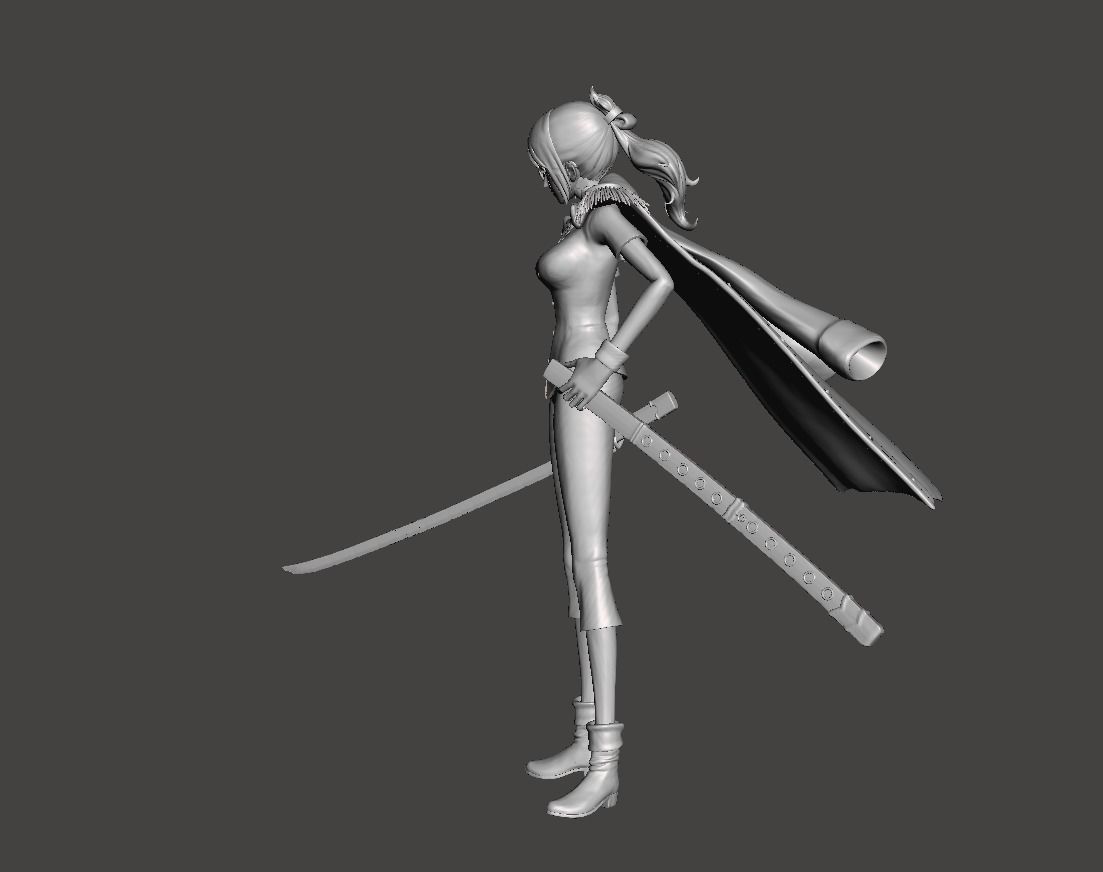 Captain Tashigi 3D Model 3D print model_3